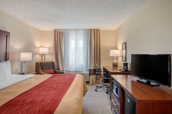 Standard Room, 1 King Bed, Non Smoking