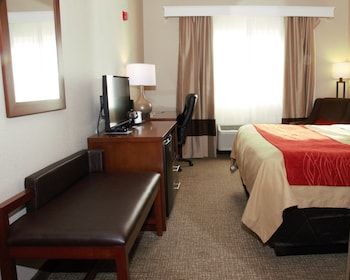 Standard Room, 1 King Bed, Non Smoking