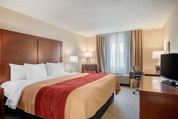Standard Room, 1 King Bed, Non Smoking