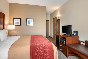 Room, 1 King Bed, Accessible, Non Smoking