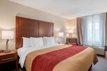Standard Room, 1 King Bed, Non Smoking