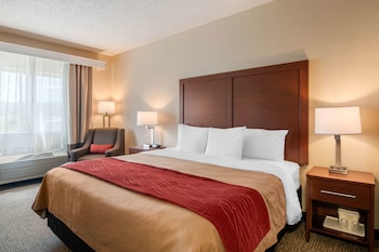 Room, 1 King Bed, Accessible, Non Smoking