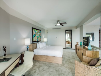 Studio Suite Terrace Room with 1 King Bed