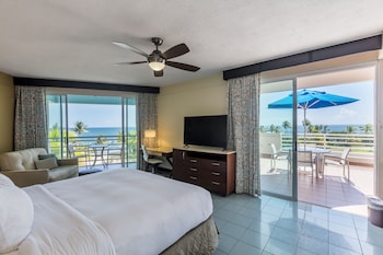 Caribbean Oceanview 1 King with Terrace