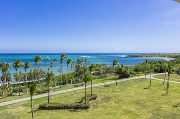 Caribbean Oceanview 1 King with Terrace