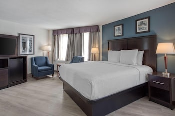 Standard Room, 1 King Bed, Non Smoking, Refrigerator & Microwave