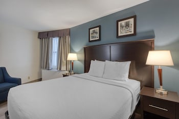 Standard Room, 1 Queen Bed, Non Smoking, Refrigerator & Microwave