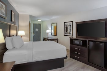 Standard Room, 1 Queen Bed, Non Smoking, Refrigerator & Microwave
