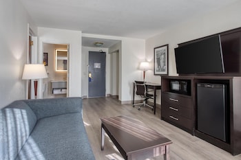 Suite, 1 King Bed, Non Smoking, Refrigerator & Microwave (with Sofabed)