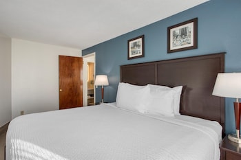 Suite, 1 King Bed, Non Smoking, Refrigerator & Microwave (with Sofabed)