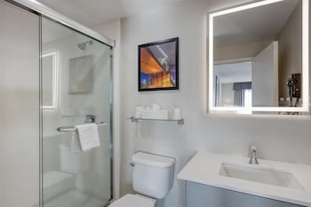 Suite, 1 King Bed, Non Smoking, Refrigerator & Microwave (with Sofabed)