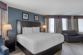 Standard Room, 1 King Bed, Non Smoking, Refrigerator & Microwave