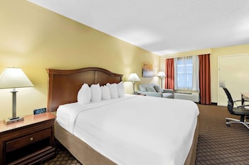 Standard Room, 1 King Bed, Non Smoking, Refrigerator & Microwave