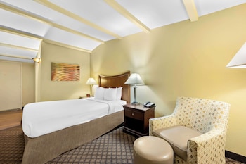Standard Room, 1 Queen Bed, Non Smoking, Refrigerator & Microwave