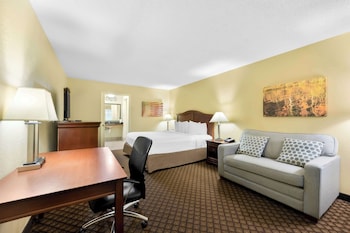 Standard Room, 1 King Bed, Non Smoking, Refrigerator & Microwave