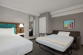 Room, 1 King Bed with Sofa bed