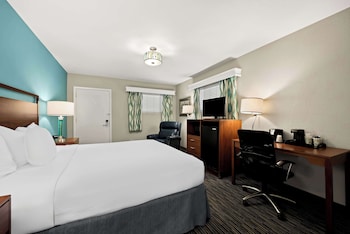 Standard Room, 1 King Bed, Non Smoking
