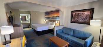 Room, 1 King Bed, Accessible