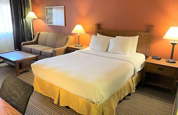 Standard Single Room, 1 Queen Bed with Sofa bed