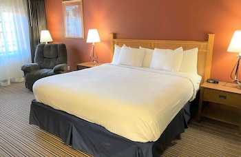 Elite Single Room