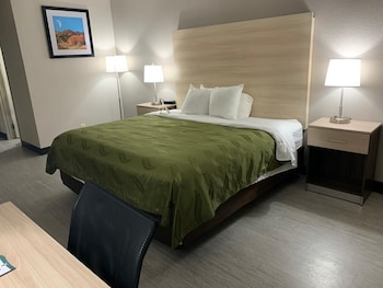 Room, 1 Queen Bed, Accessible, Non Smoking (Roll-In Shower)