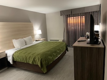 Room, 1 Queen Bed, Accessible, Non Smoking (Roll-In Shower)
