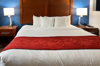 Suite, 1 King Bed with Sofa bed, Accessible, Non Smoking (Roll-In Shower)