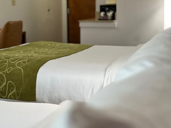 Suite, Non Smoking (2 Queen Beds & 1 Sofa Bed)