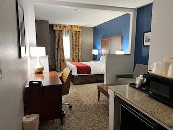 Suite, 1 King Bed with Sofa bed, Accessible, Non Smoking