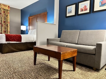 Suite, 1 King Bed with Sofa bed, Accessible, Non Smoking