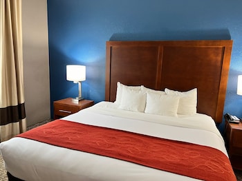 Suite, 1 King Bed with Sofa bed, Accessible, Non Smoking