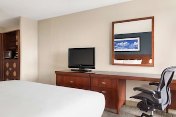 Room, 1 King Bed