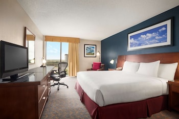 Room, 1 King Bed