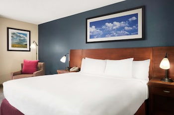 Room, 1 King Bed, Accessible, Non Smoking