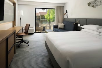Room, 1 King Bed with Sofa bed
