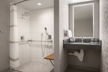 Room, 1 King Bed with Sofa bed (Mobility Accessible, Roll-In Shower)