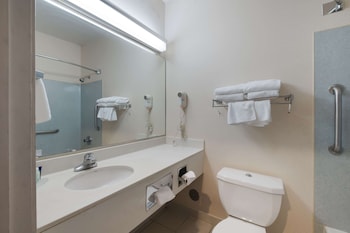 Suite, 1 Queen Bed, Non Smoking (Pet Friendly)