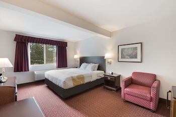 Room, 1 King Bed, Accessible