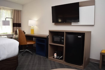 Suite, 1 King Bed with Sofa bed, Non Smoking (Upgrade)