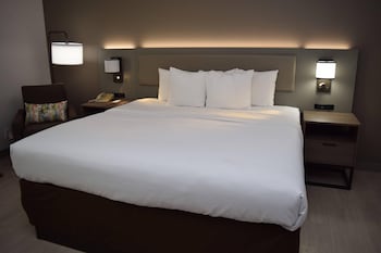 Standard Room, 1 King Bed