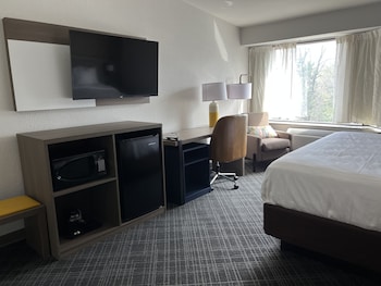Suite, 1 King Bed with Sofa bed, Non Smoking (Upgrade)
