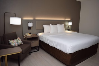 Standard Room, 1 King Bed