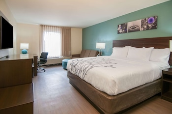 Room, 1 King Bed, Accessible, Non Smoking
