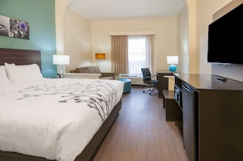 Room, 1 King Bed, Accessible, Non Smoking