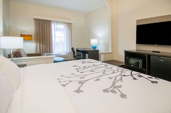 Room, 1 King Bed, Accessible, Non Smoking