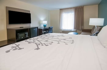 Room, 1 King Bed, Accessible, Non Smoking