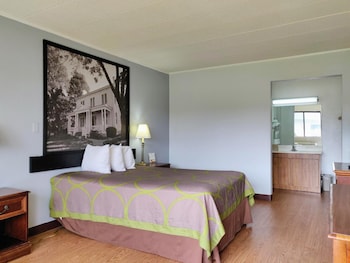 Deluxe Room, 1 Double Bed