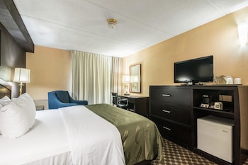 Standard Room, 1 King Bed, Non Smoking