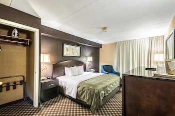 Standard Room, 1 King Bed, Non Smoking
