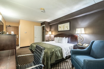 Standard Room, 1 King Bed, Non Smoking